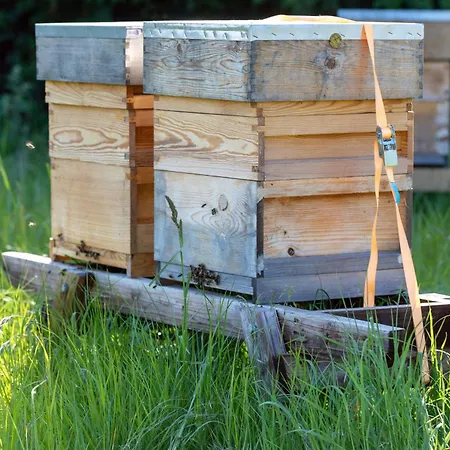 度假居 Hidden Acres- Luxury Glamping Pod