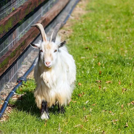 度假居 Hidden Acres- Luxury Glamping Pod *