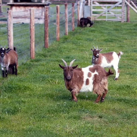 Hidden Acres- Luxury Glamping Pod 马拉海德