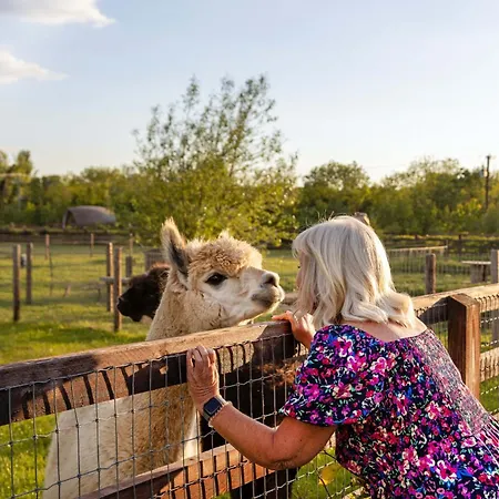度假居 Hidden Acres- Luxury Glamping Pod 马拉海德