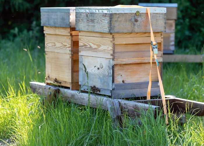 Feriehus Hidden Acres- Luxury Glamping Pod