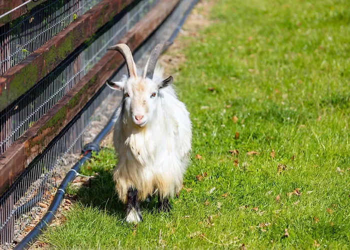 Feriehus Hidden Acres- Luxury Glamping Pod *