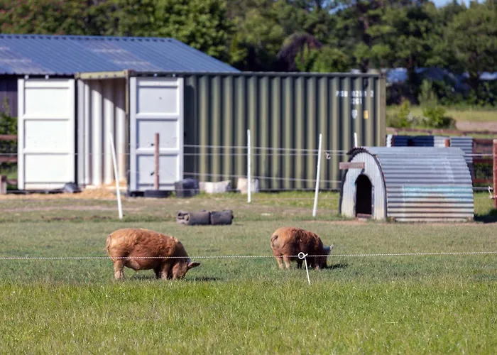 Hidden Acres- Luxury Glamping Pod Feriehus