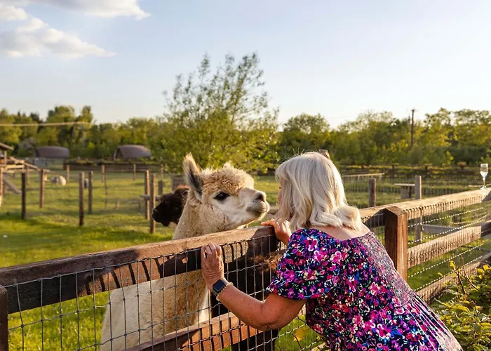Дом отдыха Hidden Acres- Luxury Glamping Pod Малахайд
